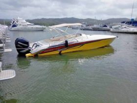 PROMARINE 1000SS 33