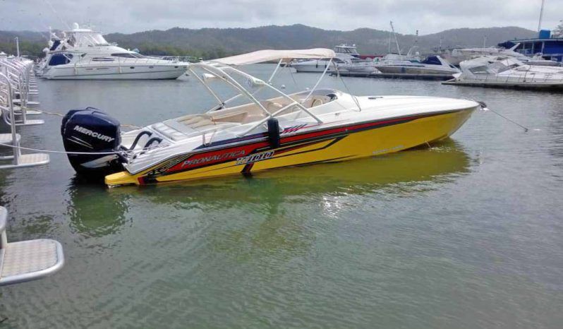 
								PROMARINE 1000SS 33 full									