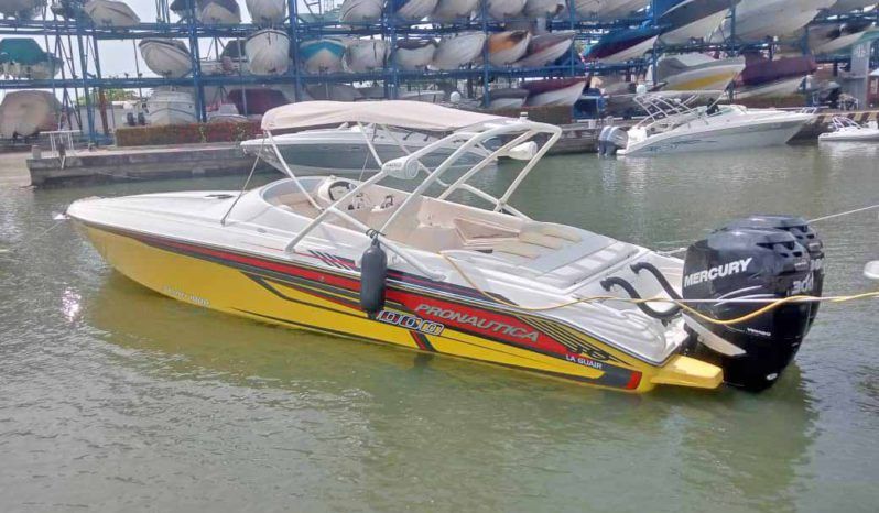 
								PROMARINE 1000SS 33 full									