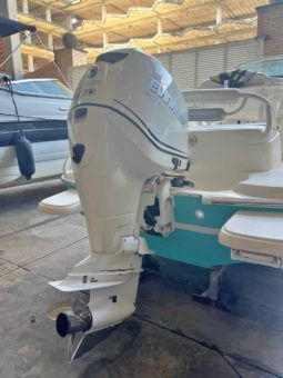 
										PROMARINE OPEN 21 full									