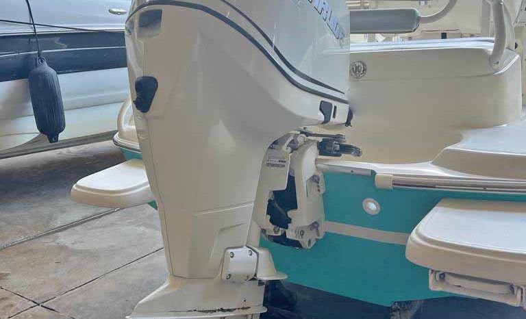 
								PROMARINE OPEN 21 full									