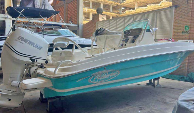 
								PROMARINE OPEN 21 full									