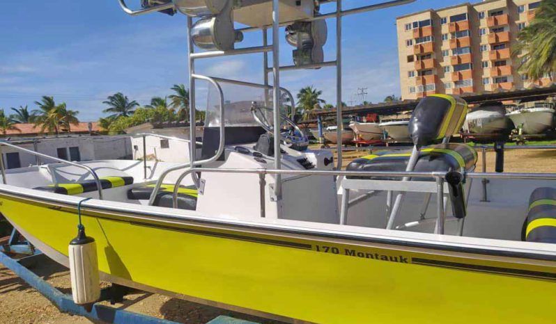 
								BOSTON WHALER MONTAUK 17 full									
