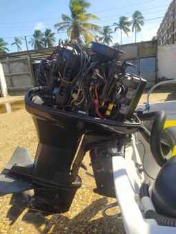 
										BOSTON WHALER MONTAUK 17 full									
