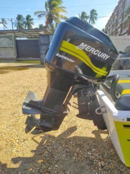 
										BOSTON WHALER MONTAUK 17 full									
