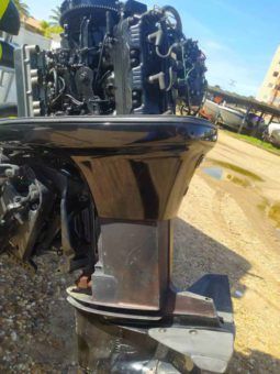 
										BOSTON WHALER MONTAUK 17 full									