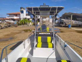 BOSTON WHALER MONTAUK 17