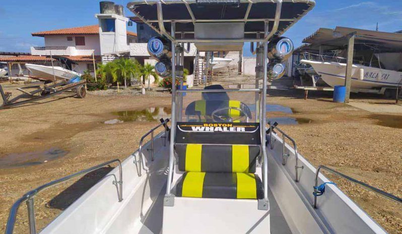 
								BOSTON WHALER MONTAUK 17 full									