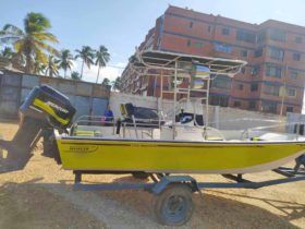 BOSTON WHALER MONTAUK 17