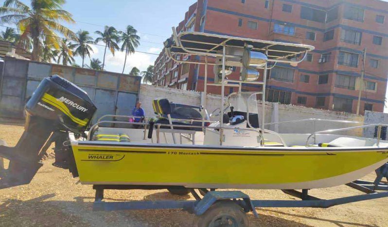 
								BOSTON WHALER MONTAUK 17 full									