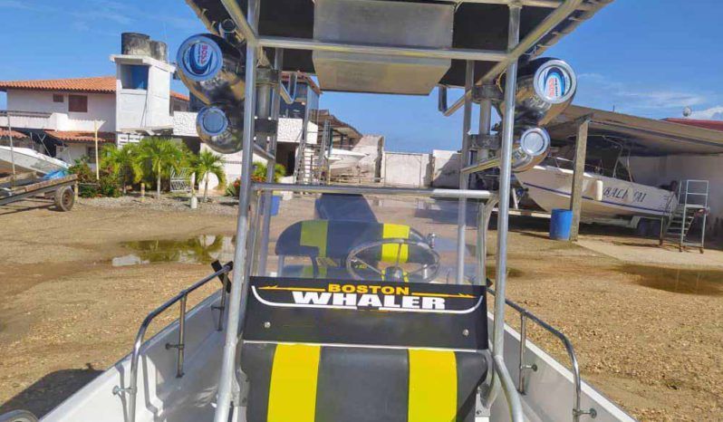 
								BOSTON WHALER MONTAUK 17 full									