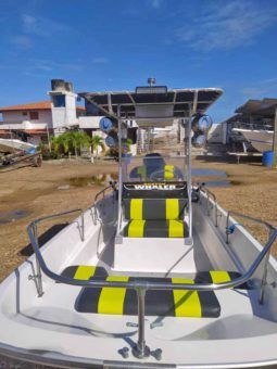 
										BOSTON WHALER MONTAUK 17 full									
