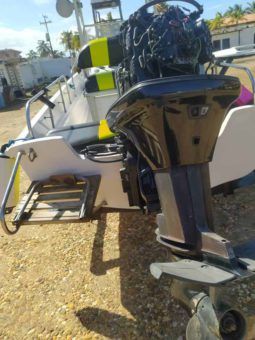 
										BOSTON WHALER MONTAUK 17 full									