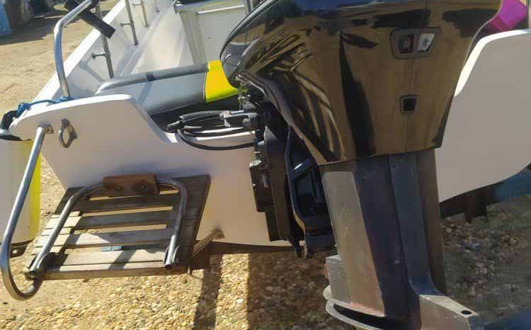 
								BOSTON WHALER MONTAUK 17 full									