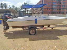 EVOLUTION 22