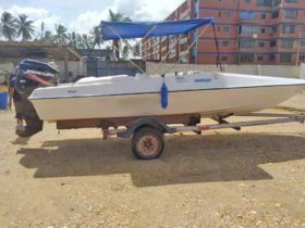 EVOLUTION 22
