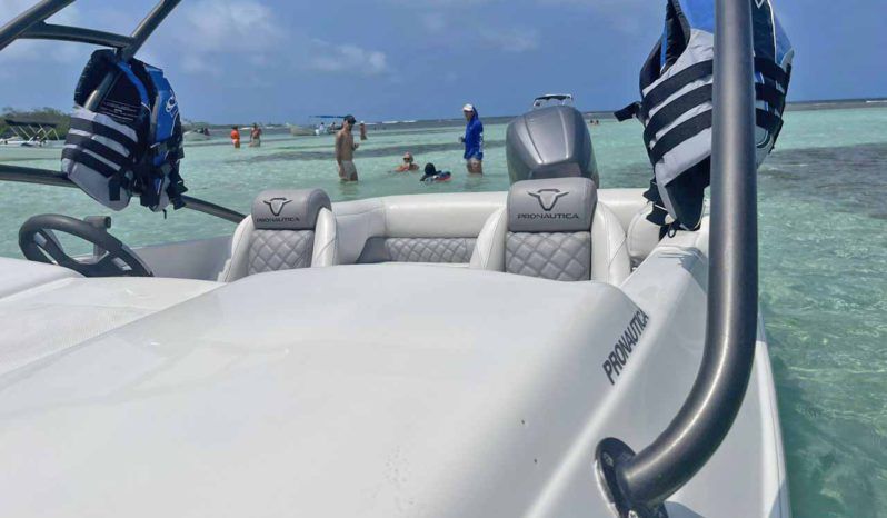 
								PROMARINE SPORT 21 full									