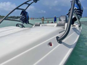 PROMARINE SPORT 21