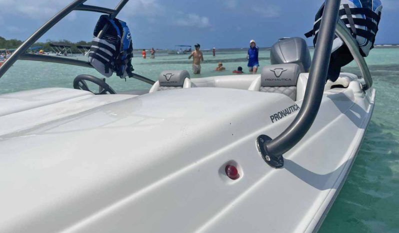 
								PROMARINE SPORT 21 full									