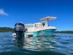 
										PROMARINE OPEN 21 full									