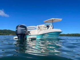 PROMARINE OPEN 21