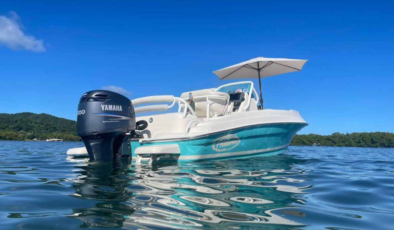 
								PROMARINE OPEN 21 full									