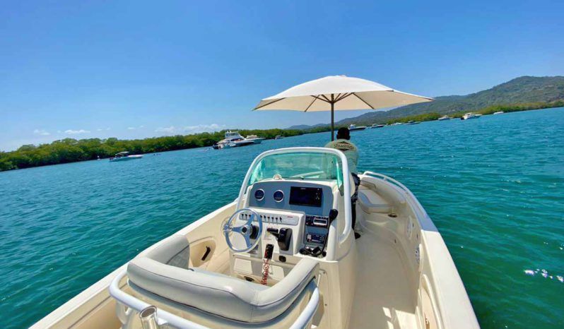 
								PROMARINE OPEN 21 full									