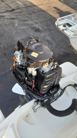 
										PROMARINE OPEN 21 full									