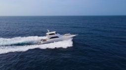 
										VIKING EB 74 full									