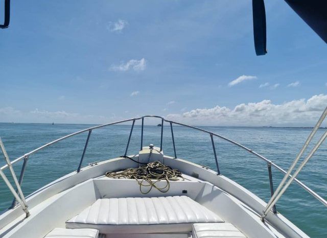 
								KAMENAR OPEN FISHERMAN 24 full									