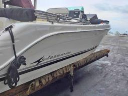 INTERMARINE OPEN 25 full