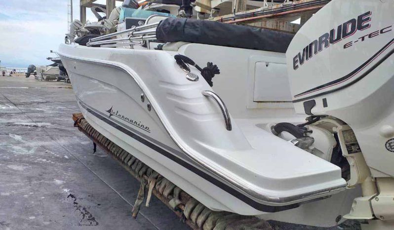 INTERMARINE OPEN 25 full