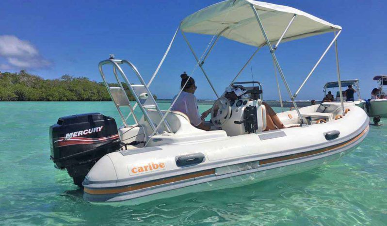 
								DINGHY CARIBE 16 full									