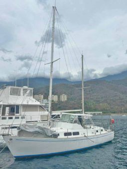 
										VELERO LINDSEY GLOBEMASTER 39 full									