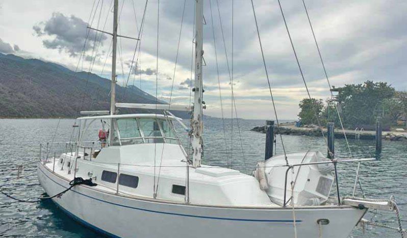 
								VELERO LINDSEY GLOBEMASTER 39 full									