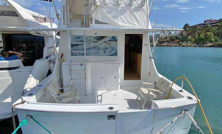 
								HATTERAS SF 42 full									