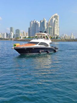 SEA RAY SEDAN BRIDGE 52 full