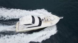 
										VIKING EB 61 full									