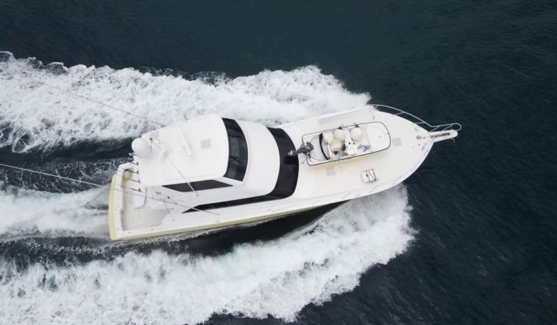 
								VIKING EB 61 full									