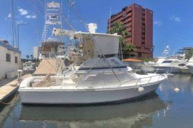 BLACKFIN SF 33