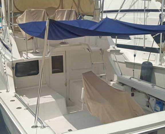 
								BLACKFIN SF 33 full									