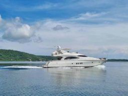 
										DOMINATOR 65 full									
