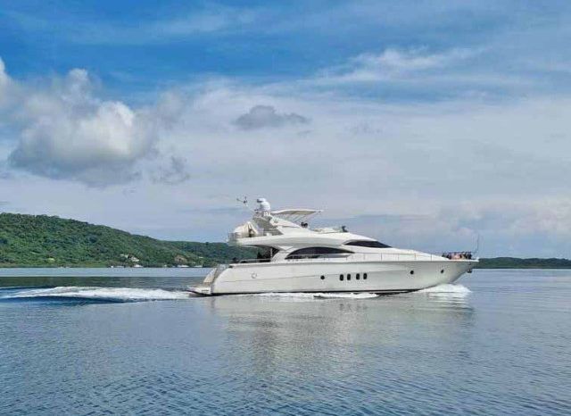 
								DOMINATOR 65 full									