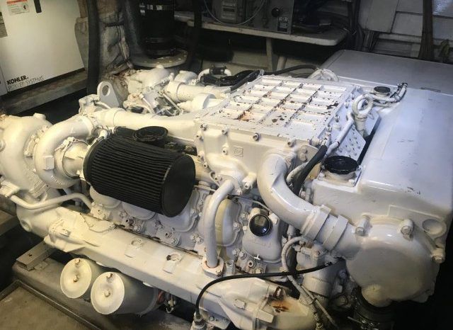 
								DOMINATOR 65 full									