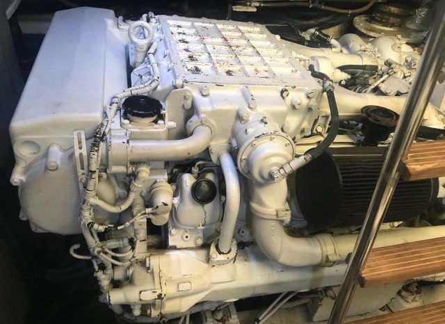 
								DOMINATOR 65 full									