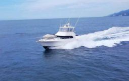 
										RIVIERA G2 47 full									