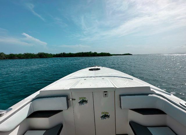 
								EXTREME MARINE CUDDY 38 full									
