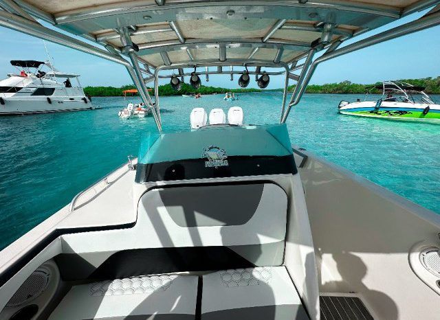 
								EXTREME MARINE CUDDY 38 full									
