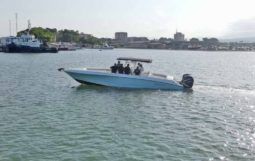 
										WELLCRAFT SCARAB 35 full									