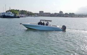 WELLCRAFT SCARAB 35